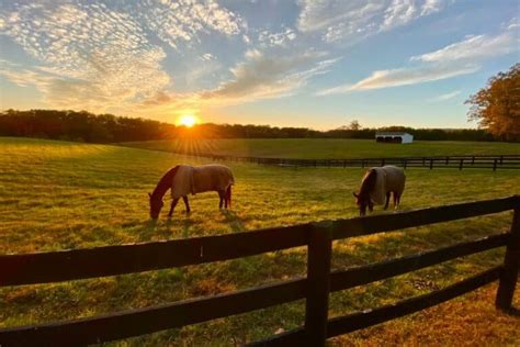 19 Kentucky Derby Party Games To Impress Your Guests.